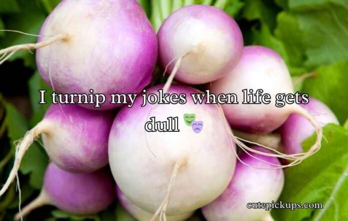 Turnip Puns and Jokes
