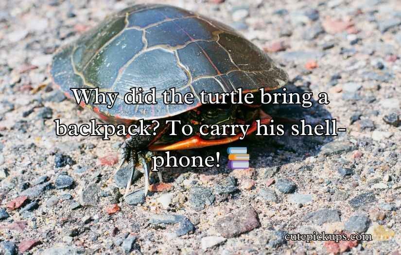 Turtle Puns