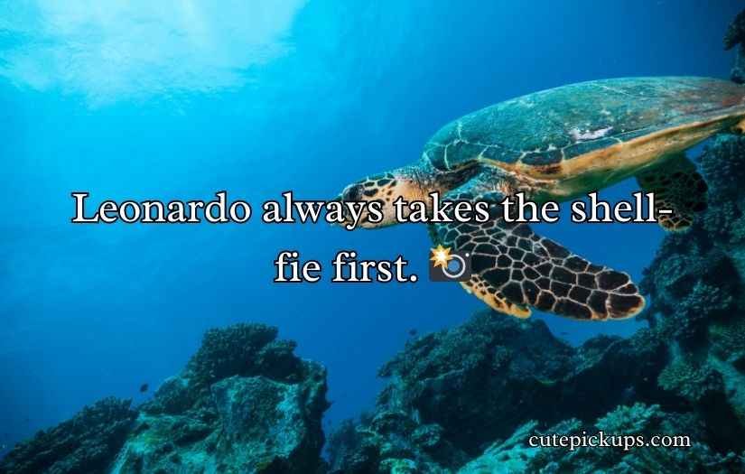 Turtle Puns