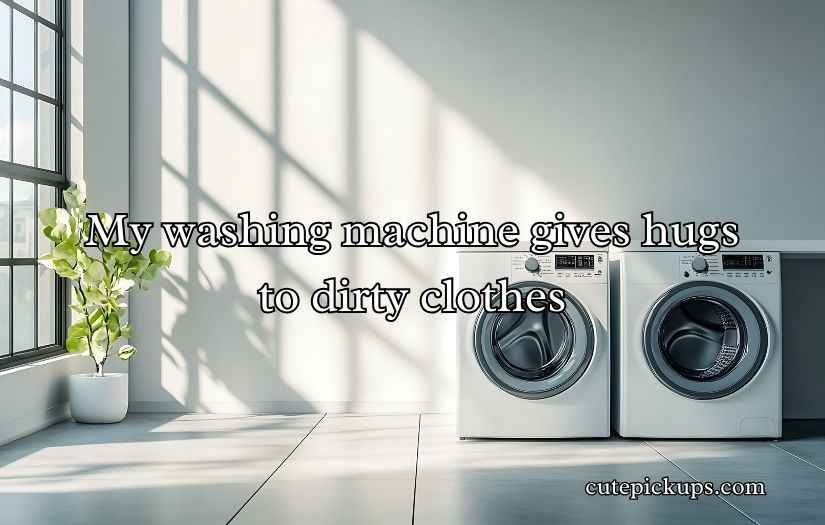 Washing Machine Puns