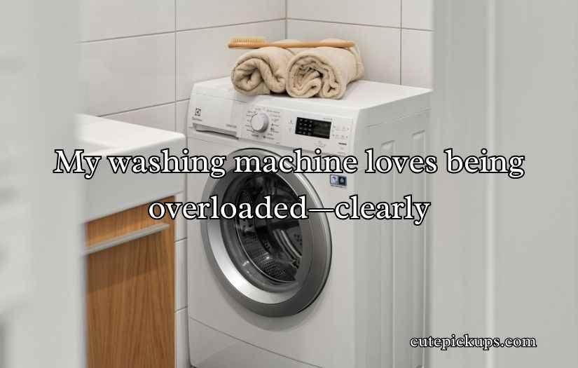 Washing Machine Puns
