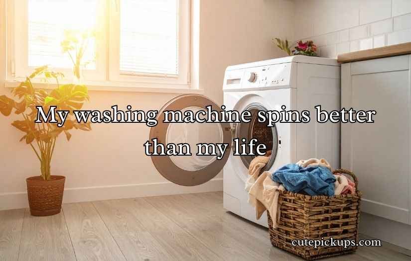 Washing Machine Puns