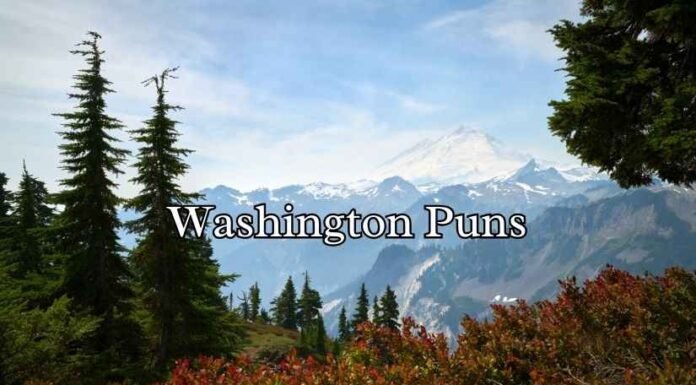 Washington Puns Washington Puns