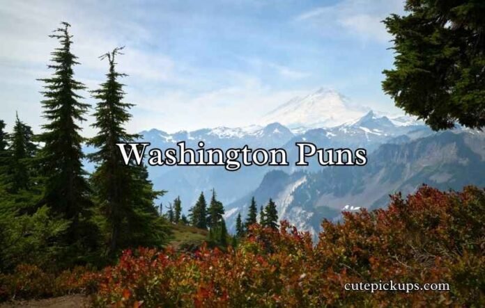 Washington Puns