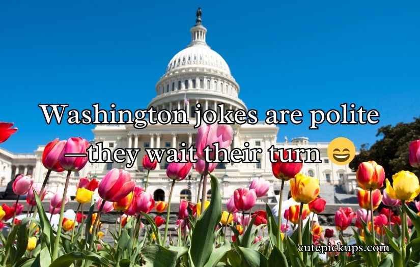 Washington Puns