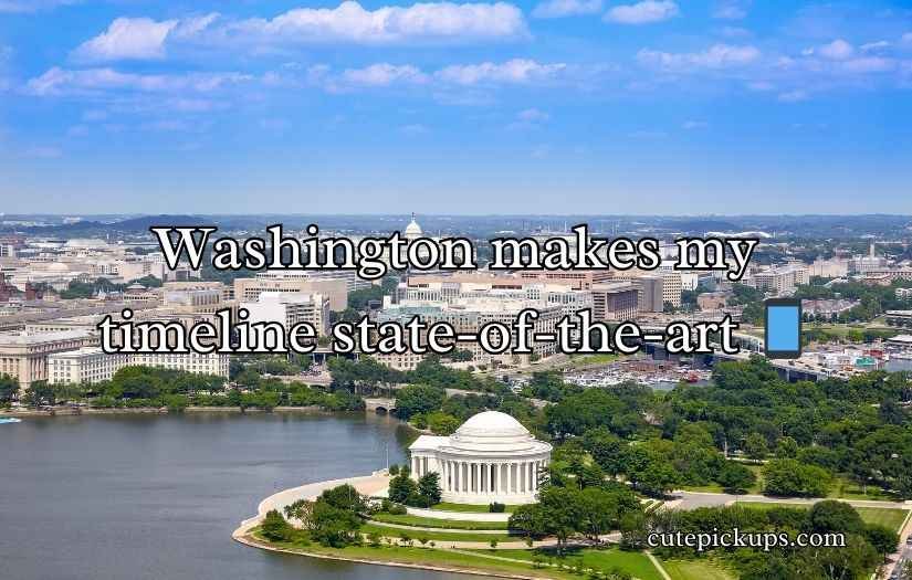 Washington Puns