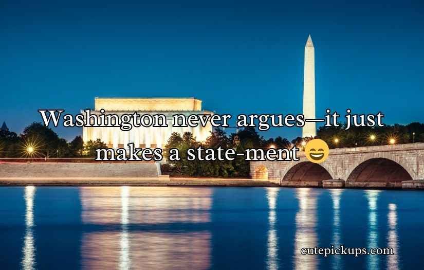 Washington Puns