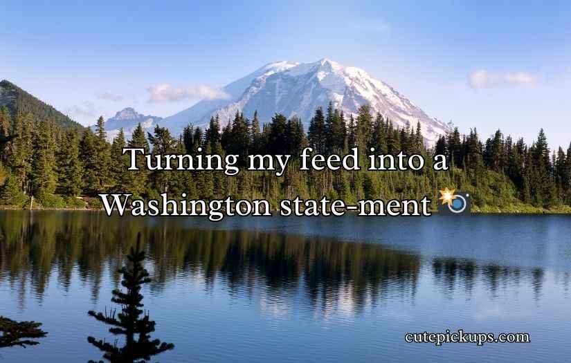 Washington Puns