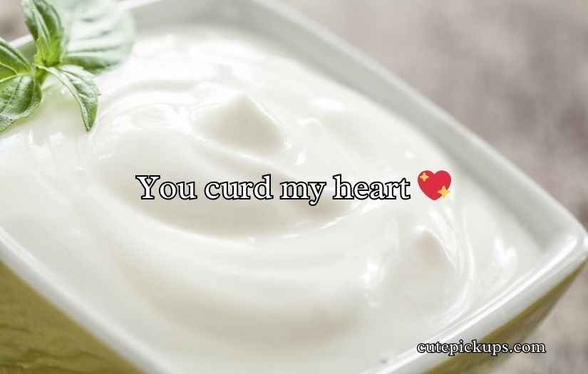 Yogurt Puns