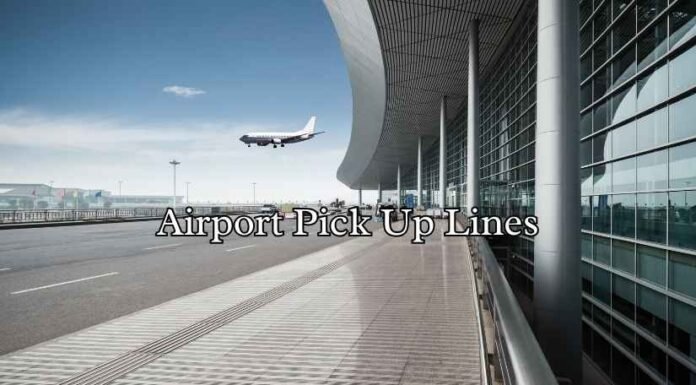 Airport Pick Up Lines Airport Pick Up Lines