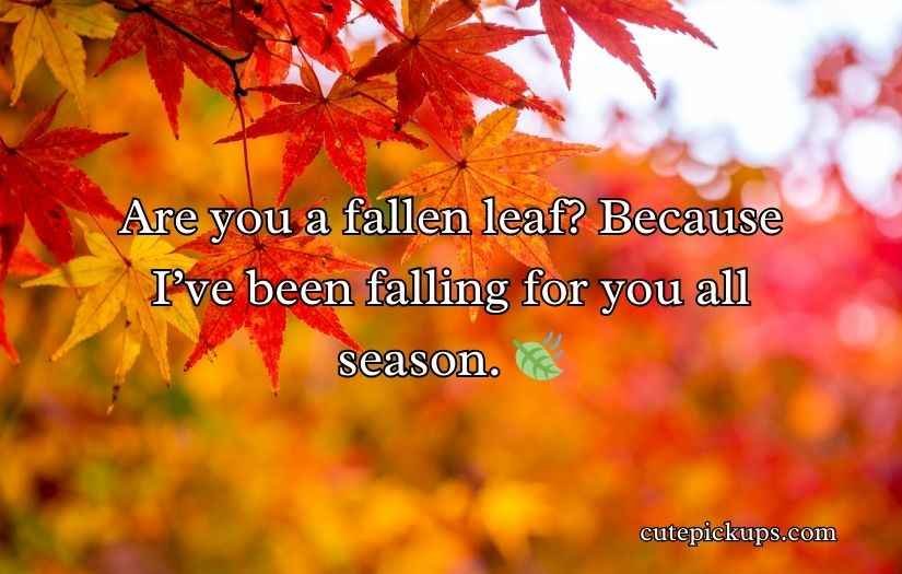 Autumn Pick Up Lines