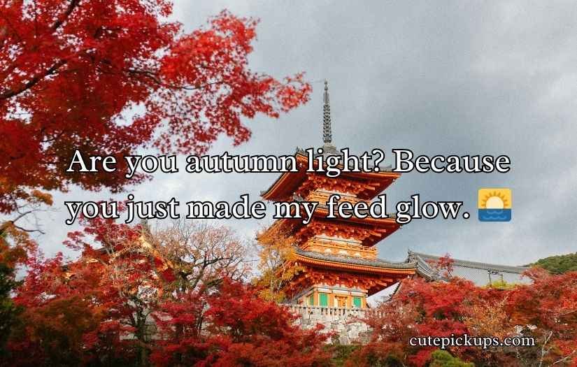 Autumn Pick Up Lines