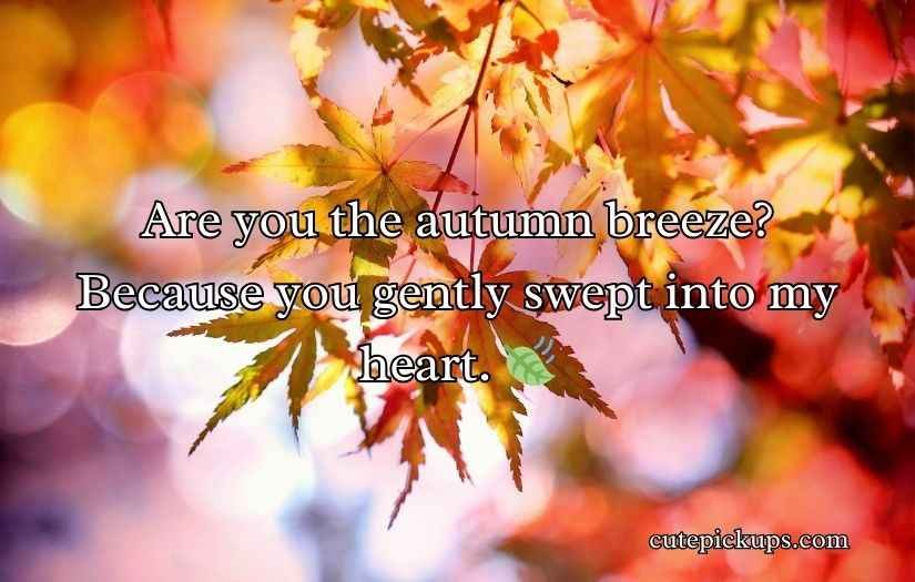Autumn Pick Up Lines