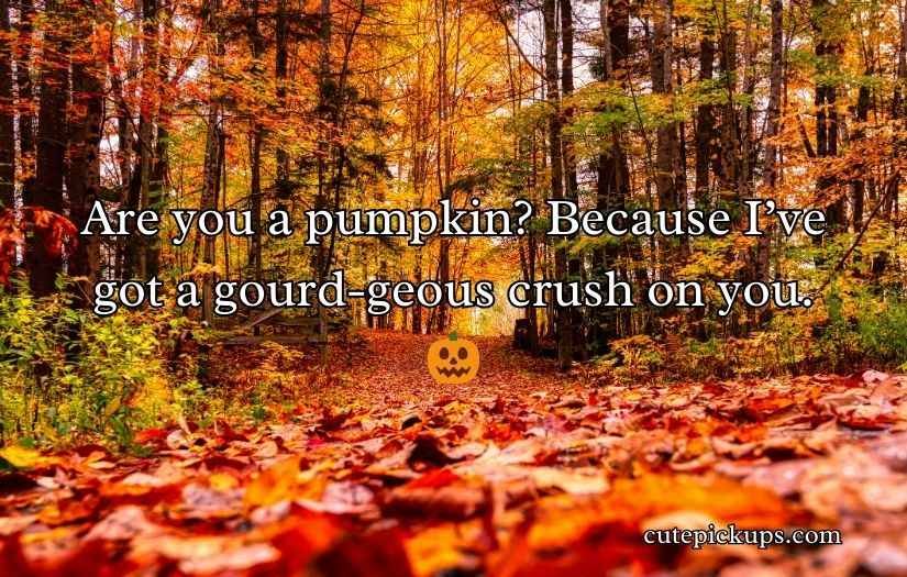 Autumn Pick Up Lines