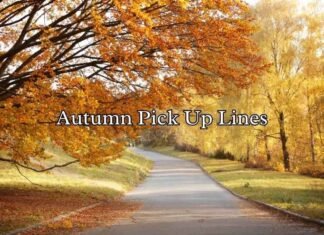 Autumn Pick Up Lines Autumn Pick Up Lines