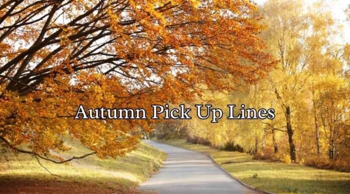Autumn Pick Up Lines Autumn Pick Up Lines