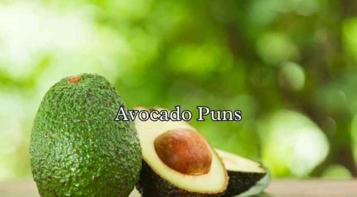 Avocado Puns Avocado Puns