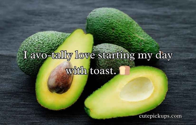 Avocado Puns