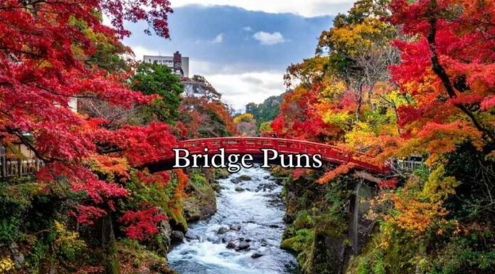 Bridge Puns Bridge Puns