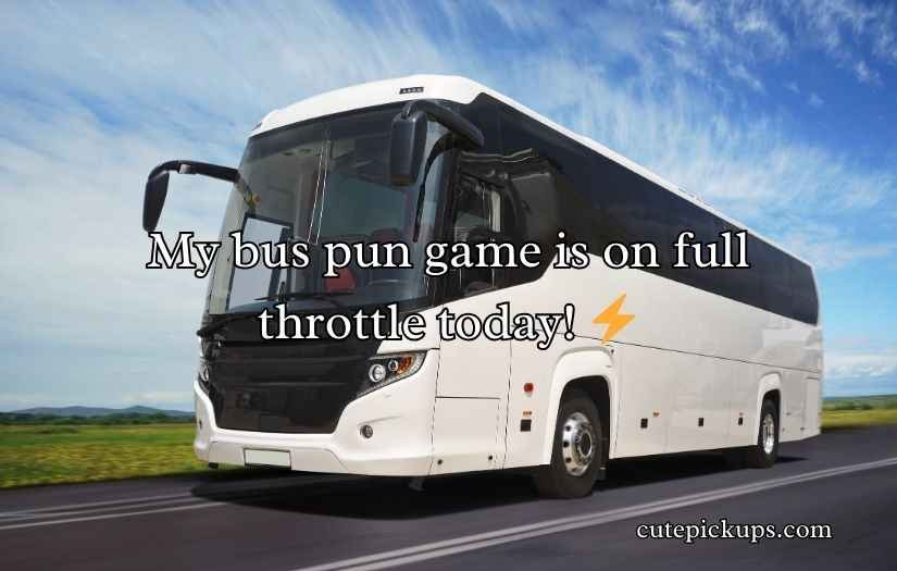 Bus Puns