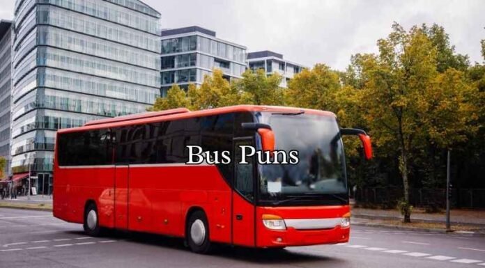 Bus Puns Bus Puns