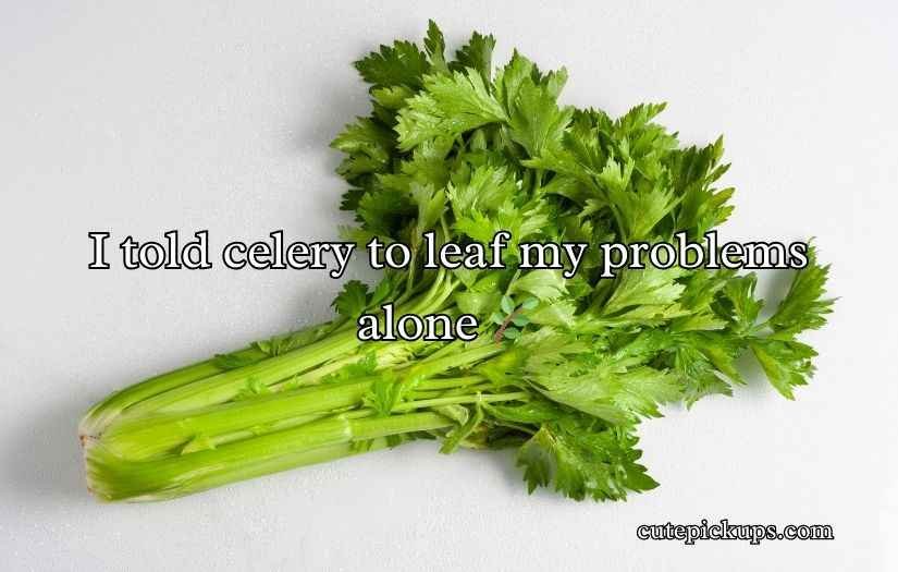 Celery Puns and Jokes
