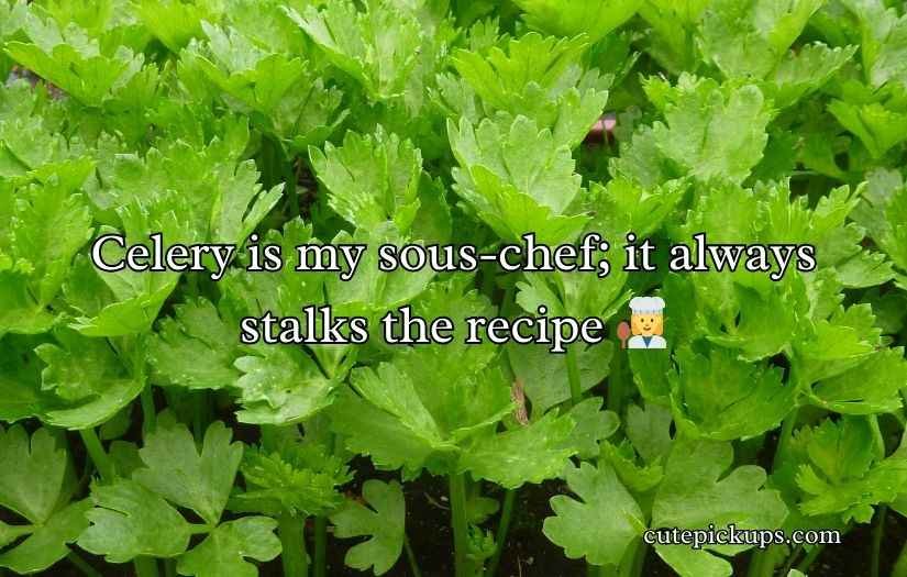 Celery Puns and Jokes