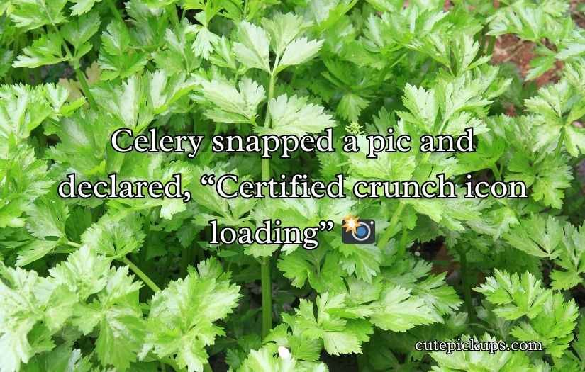 Celery Puns and Jokes