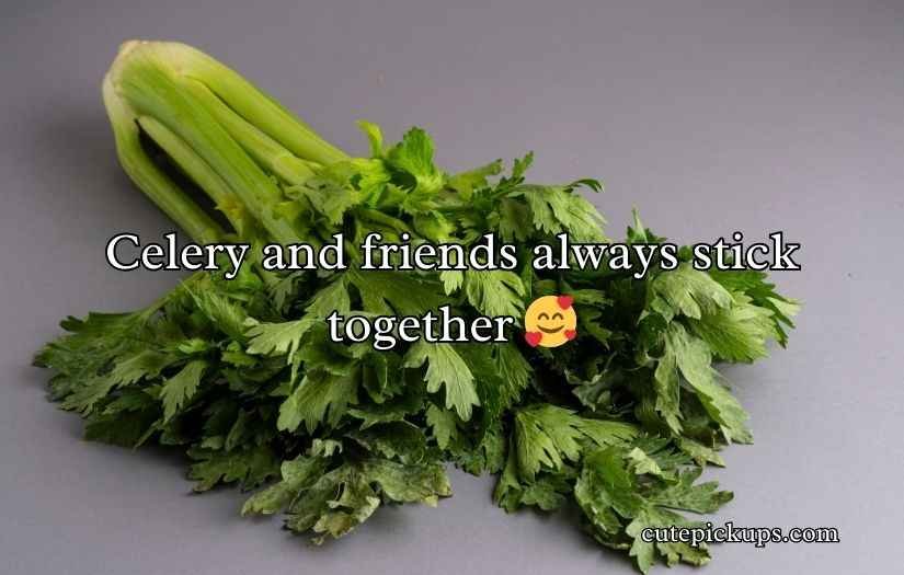Celery Puns and Jokes