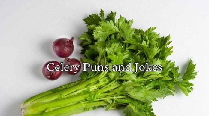 Celery Puns and Jokes Celery Puns and Jokes