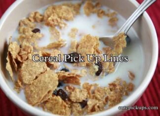 Cereal Pick Up Lines Cereal Pick Up Lines