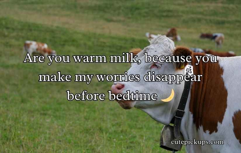 Dairy Pick Up Lines