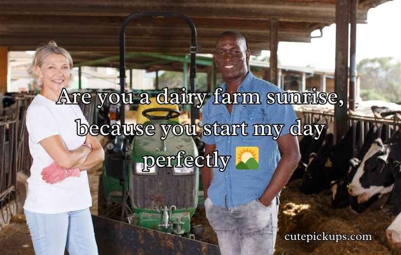 Dairy Pick Up Lines