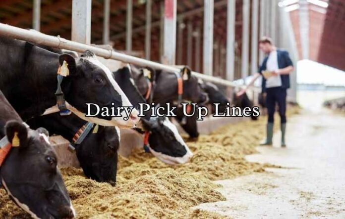 Dairy Pick Up Lines