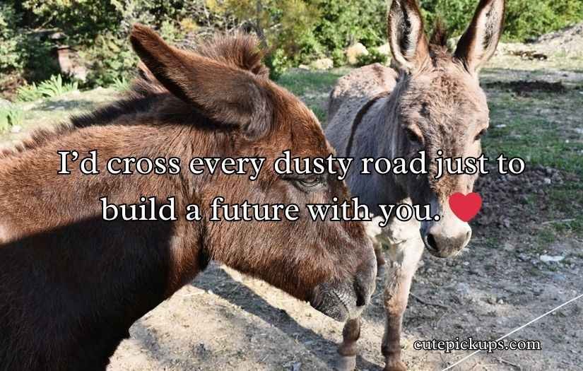 Donkey Pick Up Lines