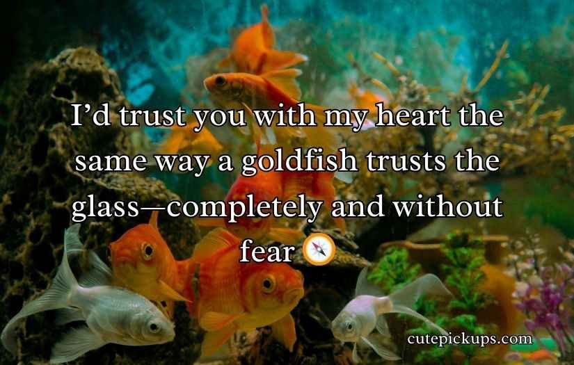 Goldfish Pick-Up Lines