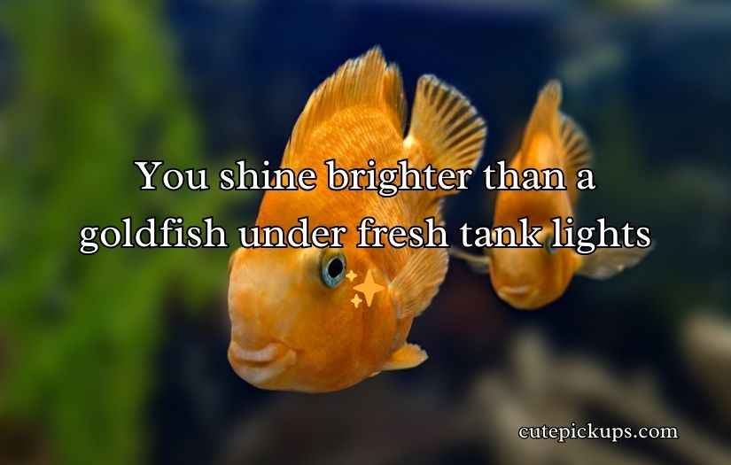 Goldfish Pick-Up Lines