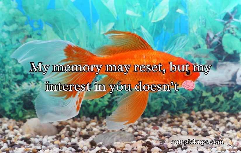 Goldfish Pick-Up Lines