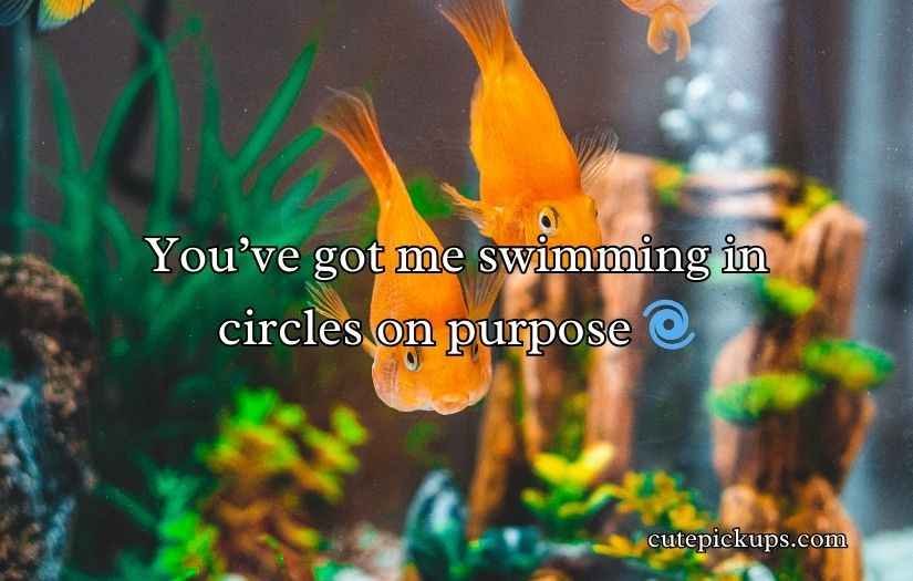 Goldfish Pick-Up Lines