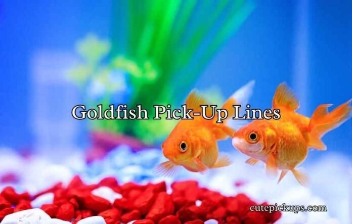 Goldfish Pick-Up Lines