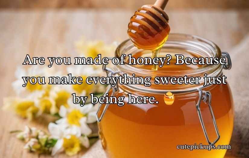 Honey Pick Up Lines
