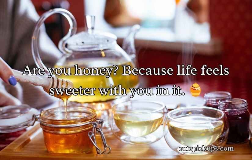 Honey Pick Up Lines