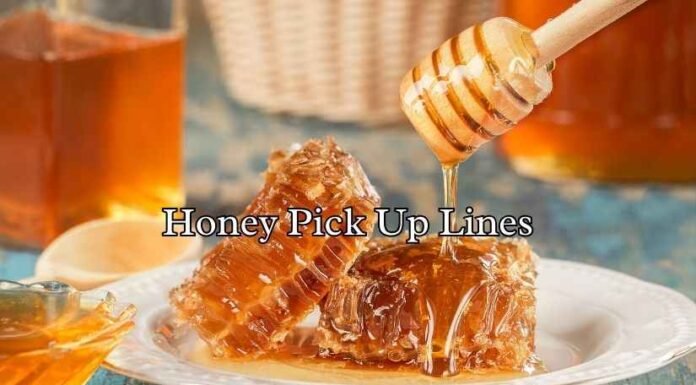 Honey Pick Up Lines Honey Pick Up Lines
