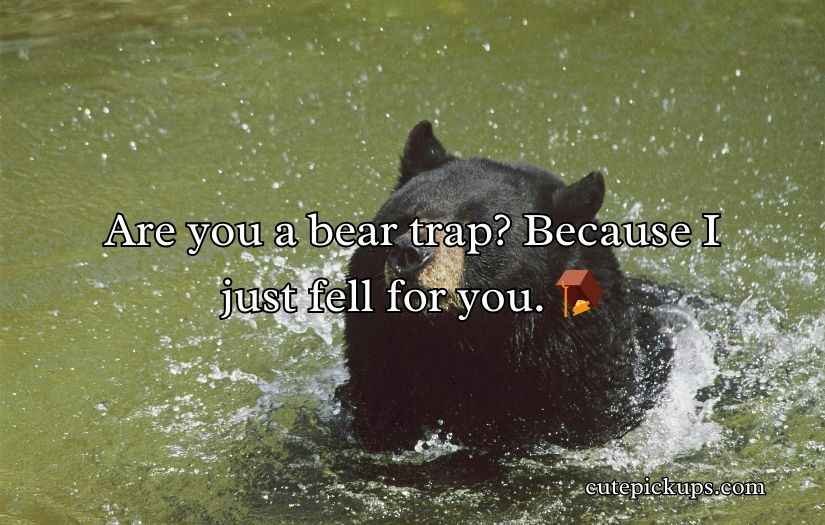 Irresistible Bear Rizz Lines