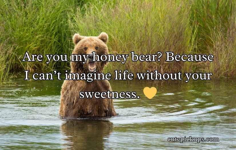 Irresistible Bear Rizz Lines