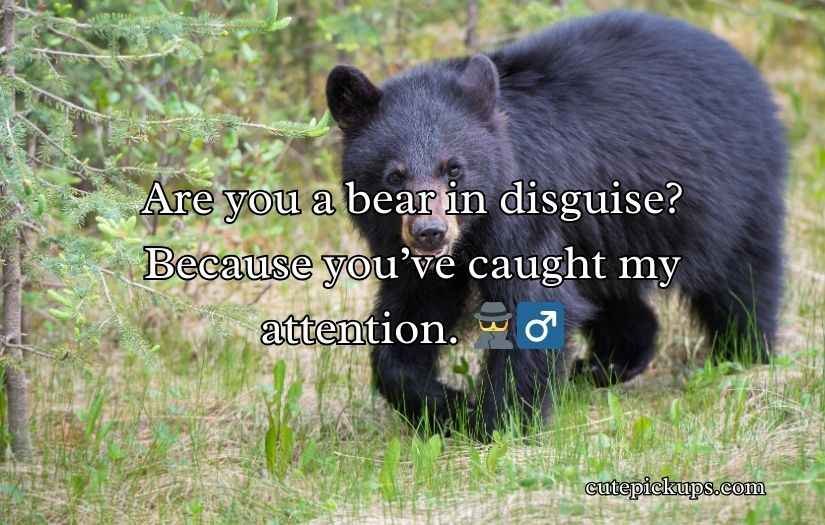 Irresistible Bear Rizz Lines