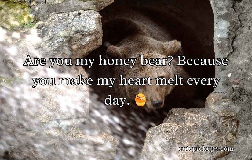 Irresistible Bear Rizz Lines