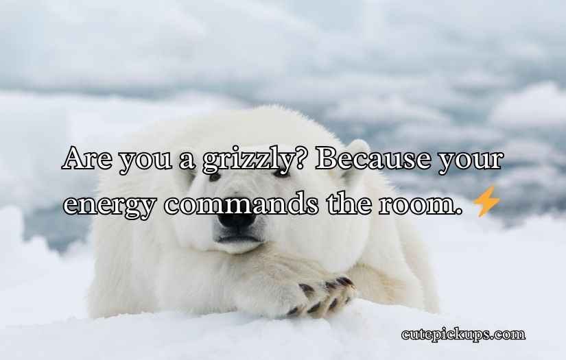 Irresistible Bear Rizz Lines