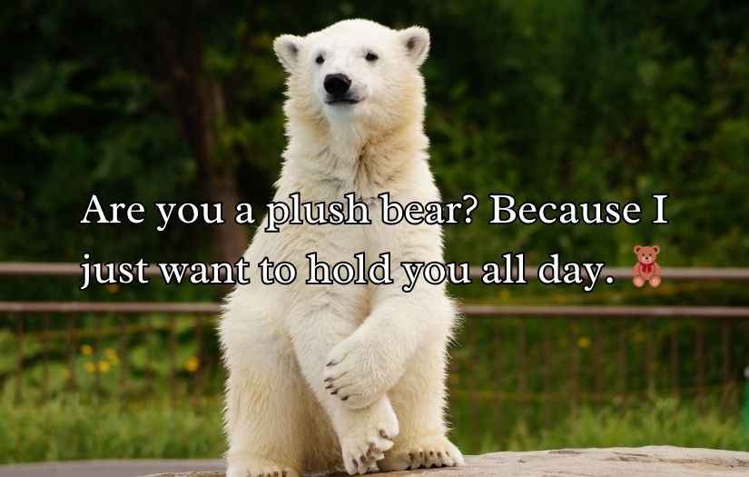 Irresistible Bear Rizz Lines