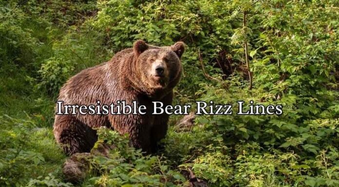 Irresistible Bear Rizz Lines Irresistible Bear Rizz Lines
